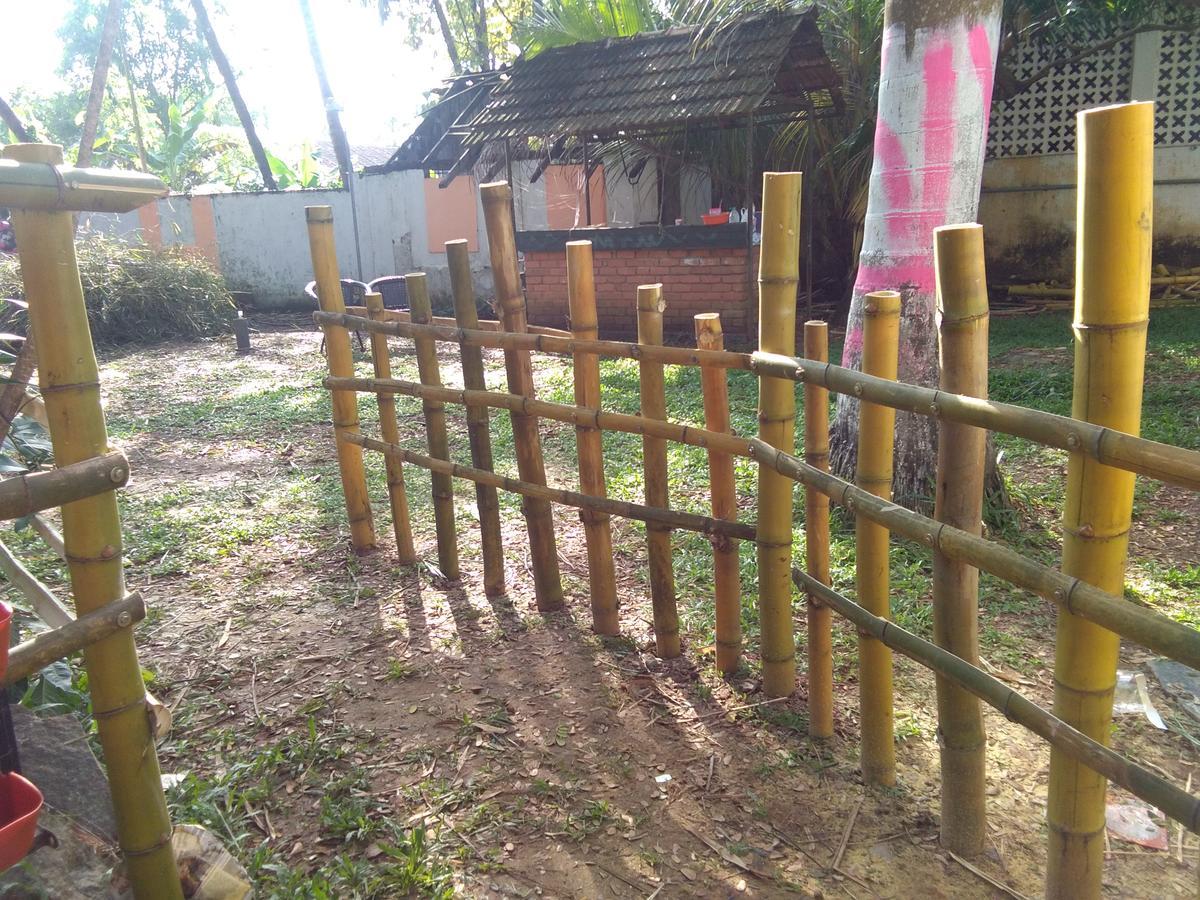 Elphinstone Residency Bed & Breakfast Kochi Exterior photo